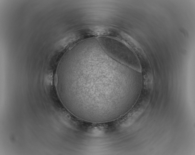 X0000112770368200908271646