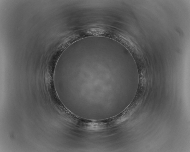 X0000112770371200908271647