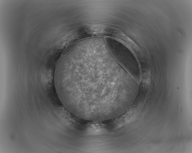 X0000112770372200908271647