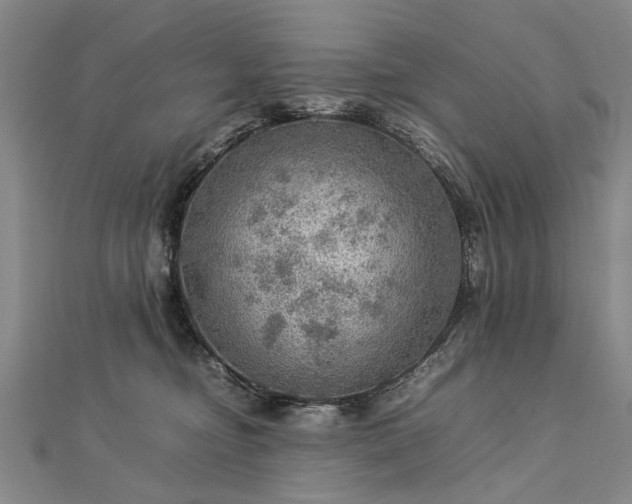 X0000112770374200908271647