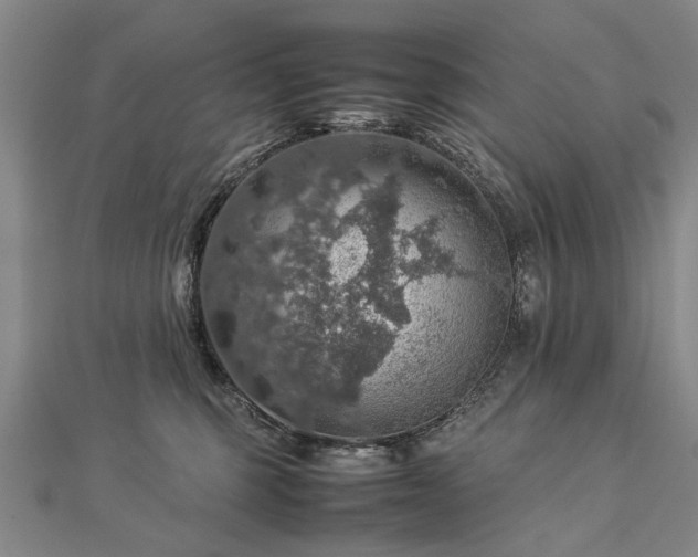 X0000112770375200908271647