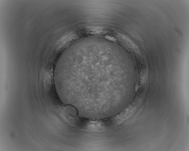 X0000112770376200908271647