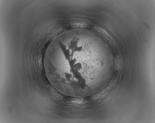 X0000112770377200908271647