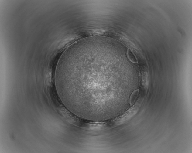 X0000112770378200908271647