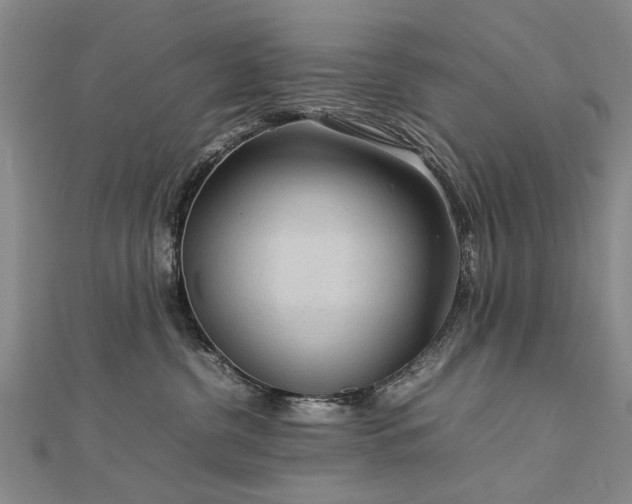 X0000112770380200908271647