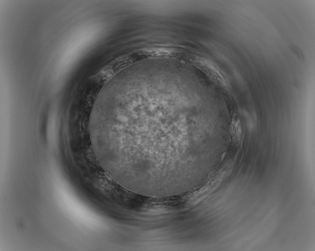 X0000112770381200908271647