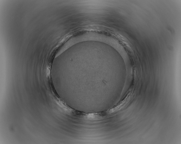 X0000112770382200908271647