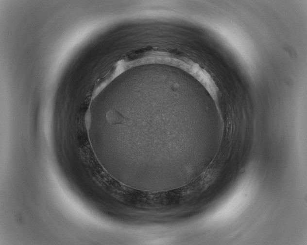 X0000112770383200908271647