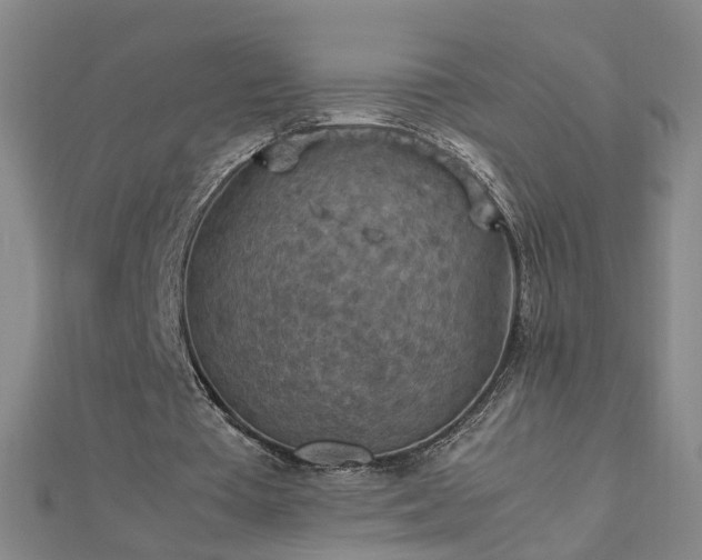 X0000112770385200908271646