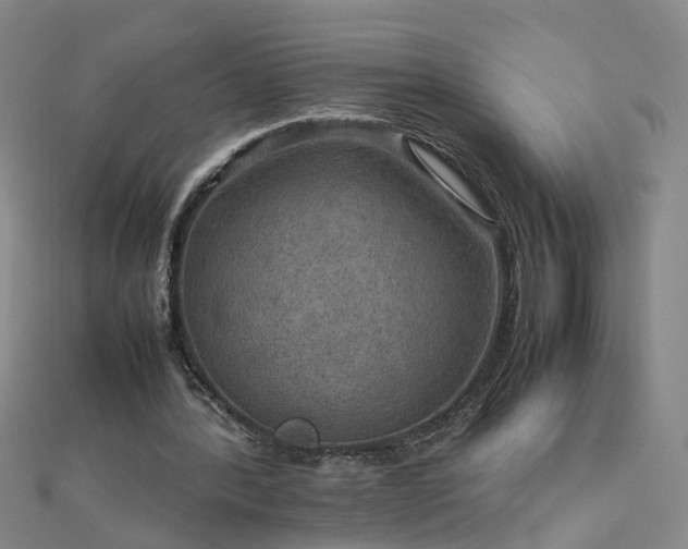 X0000112770388200908271646