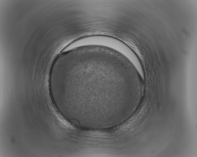 X0000112770389200908271646