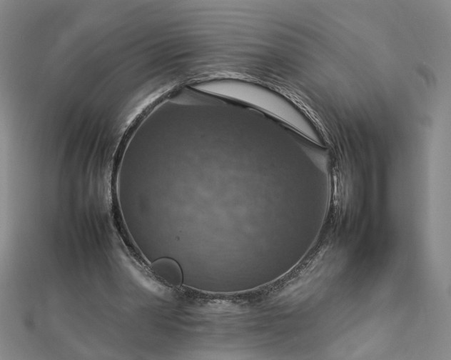 X0000112770390200908271646