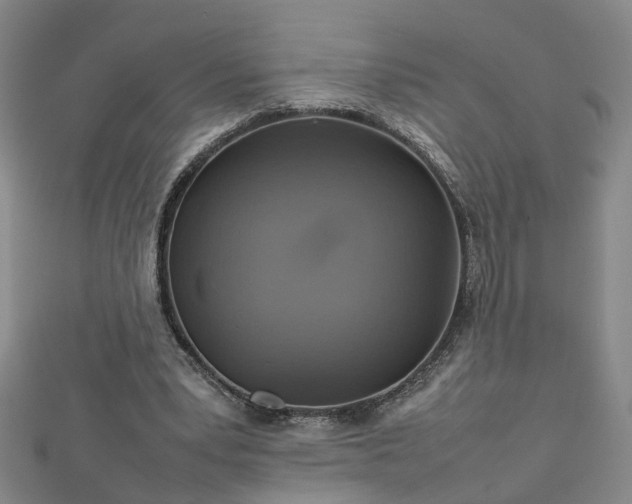 X0000112770391200908271646