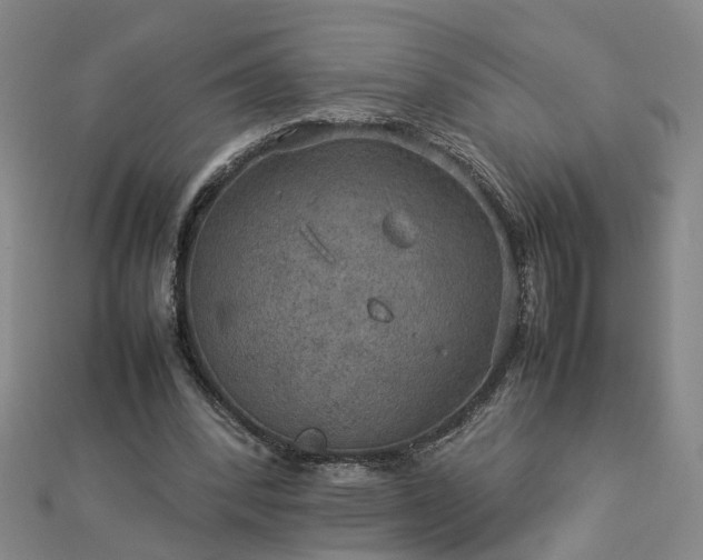 X0000112770392200908271646