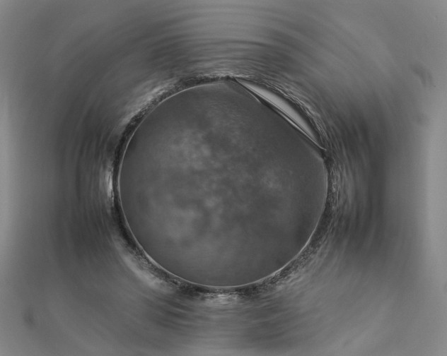 X0000112770398200908271646