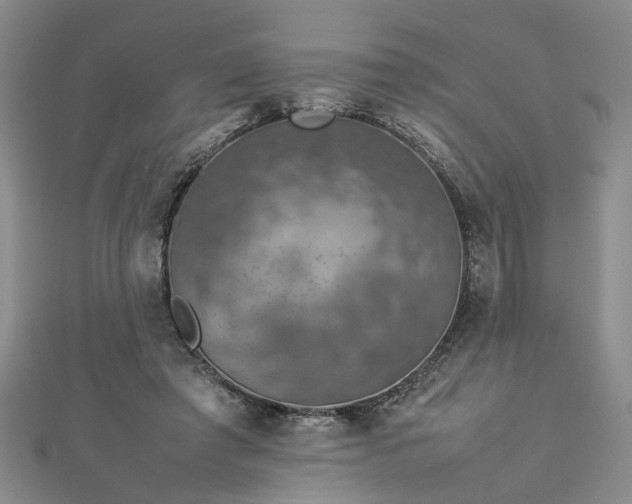 X0000112770401200908271646