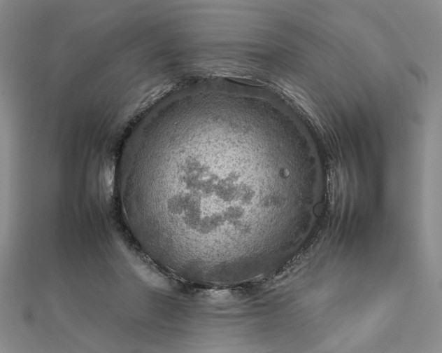 X0000112770406200908271646