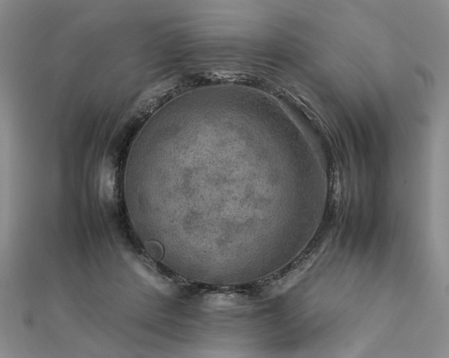 X0000112770408200908271646