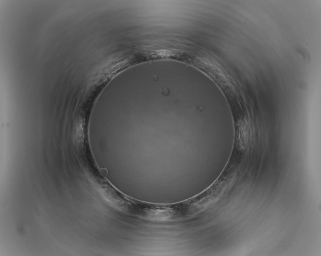 X0000112770410200908271646