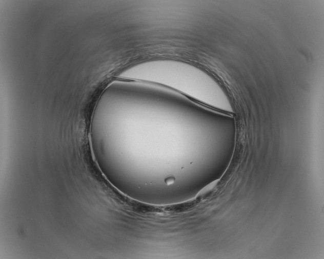 X0000112770411200908271646