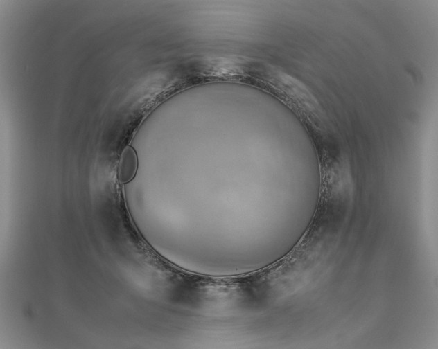 X0000112770415200908271646