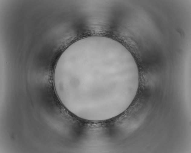 X0000112770419200908271646