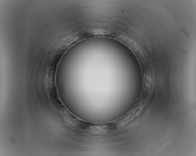 X0000112770422200908271646