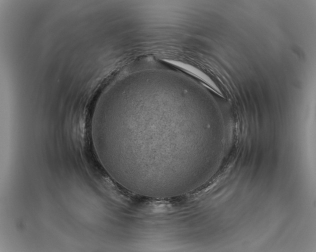 X0000112770424200908271646