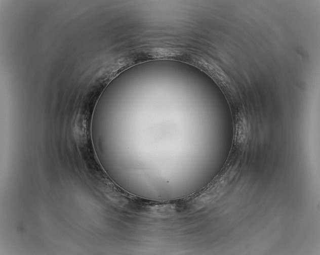 X0000112770426200908271646