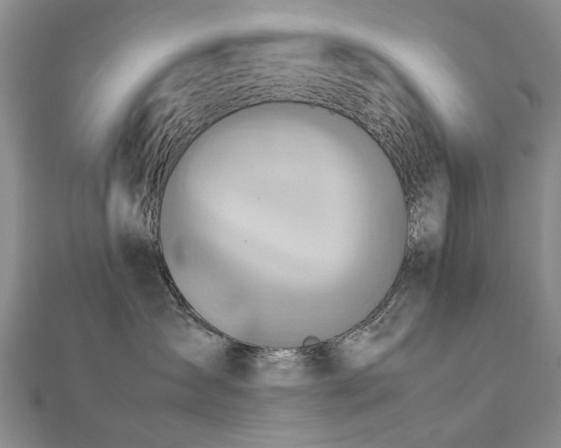 X0000112770431200908271645
