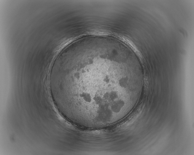 X0000112770433200908271645