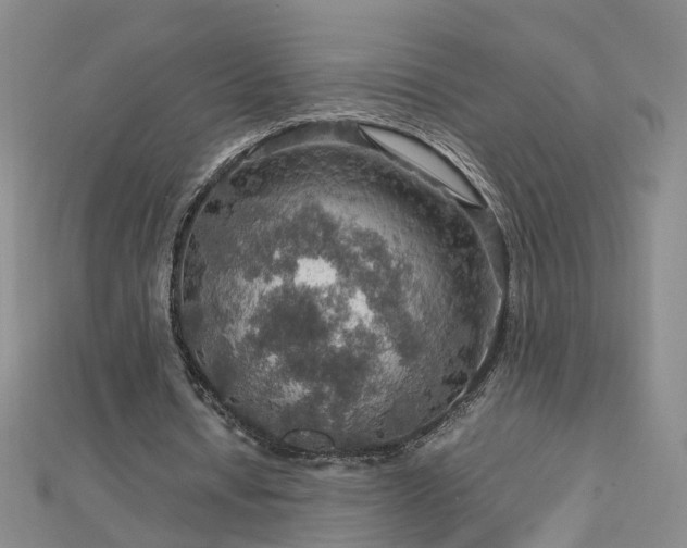 X0000112770434200908271645
