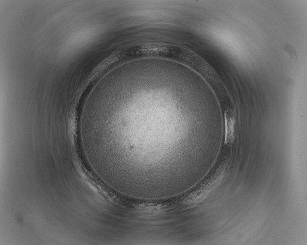 X0000112770435200908271645