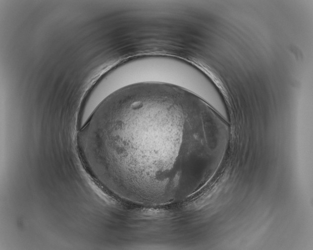 X0000112770437200908271645
