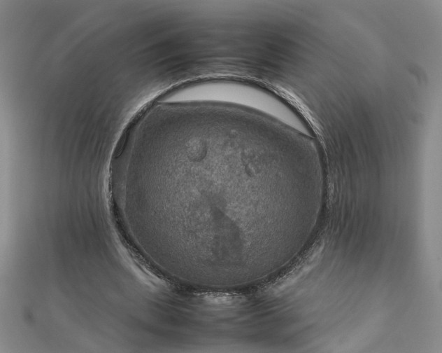 X0000112770439200908271645