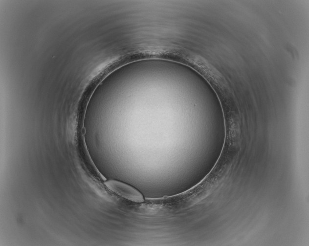 X0000112770440200908271645