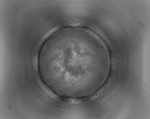 X0000112770442200908271645