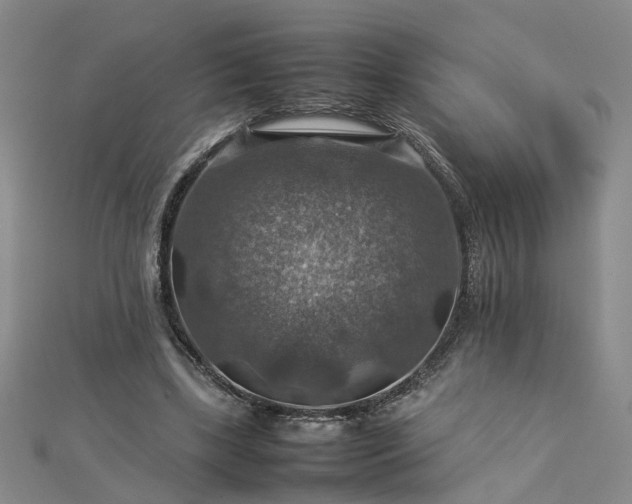 X0000112770443200908271645