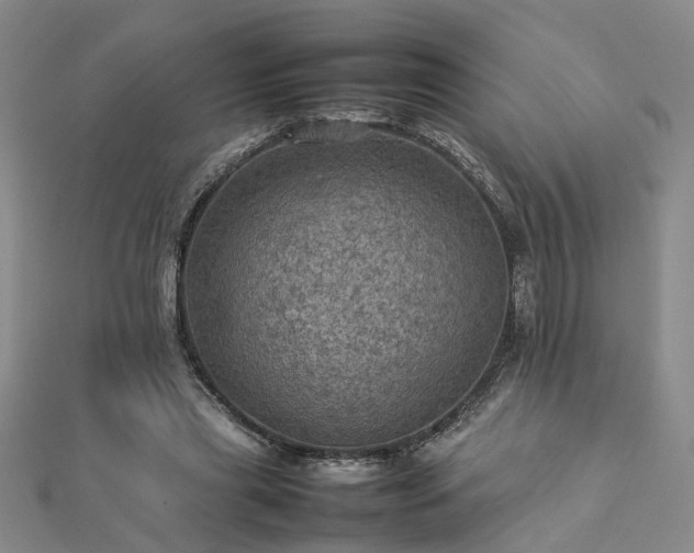 X0000112770445200908271645