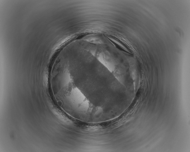 X0000112770446200908271645