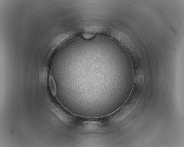 X0000112770448200908271645