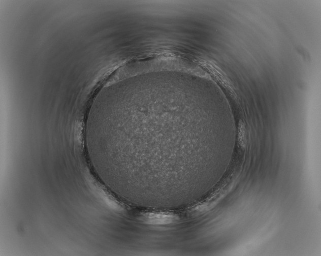 X0000112770449200908271645