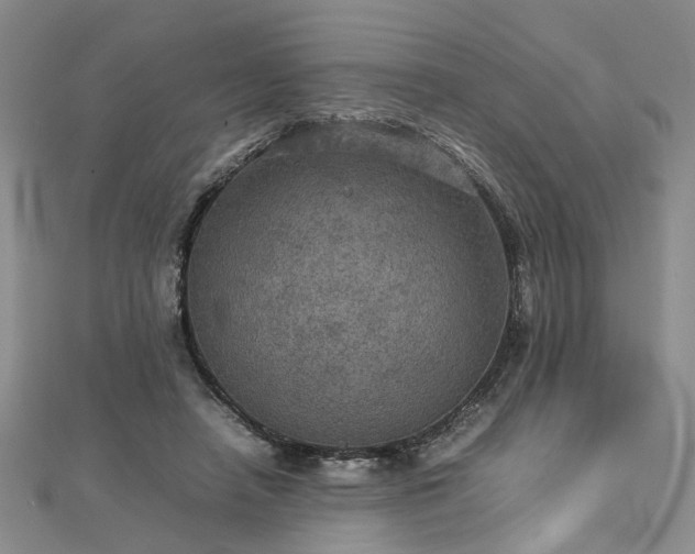 X0000112770450200908271645