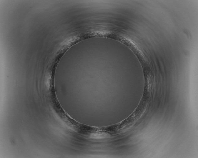 X0000112770451200908271645
