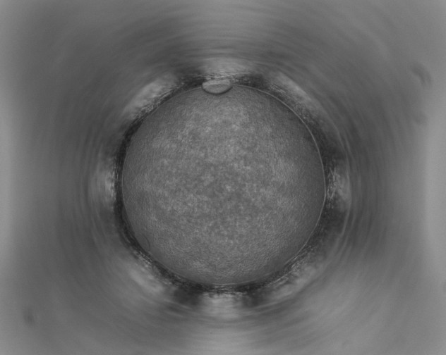 X0000112770452200908271645