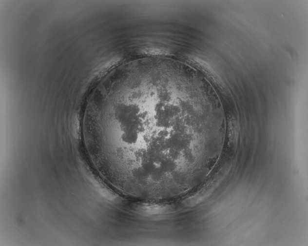 X0000112770453200908271645