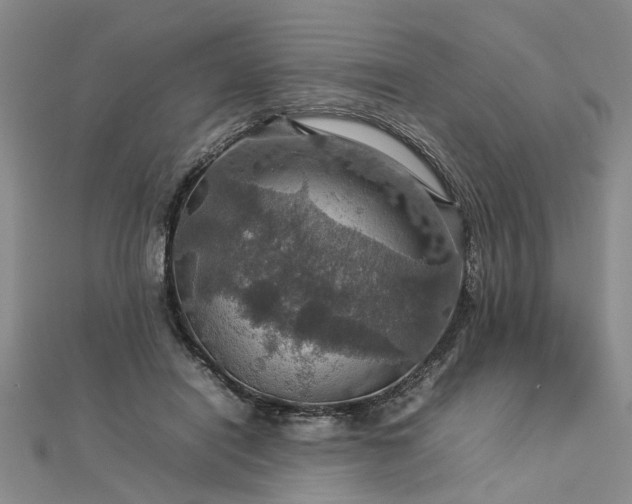 X0000112770454200908271645