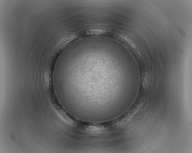 X0000112770455200908271645