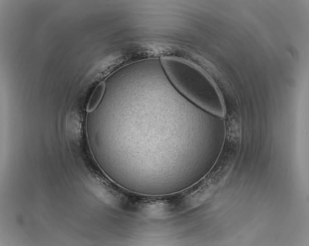 X0000112770456200908271645