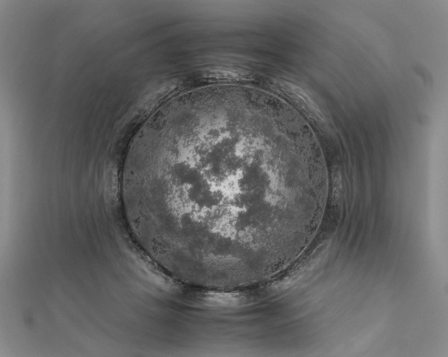 X0000112770457200908271645